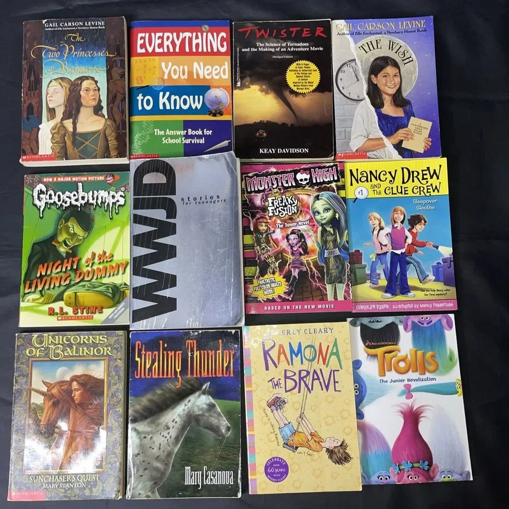 Lot of 12 Chapter Books for Youth Adults Early Reader‎ Children All Paperback